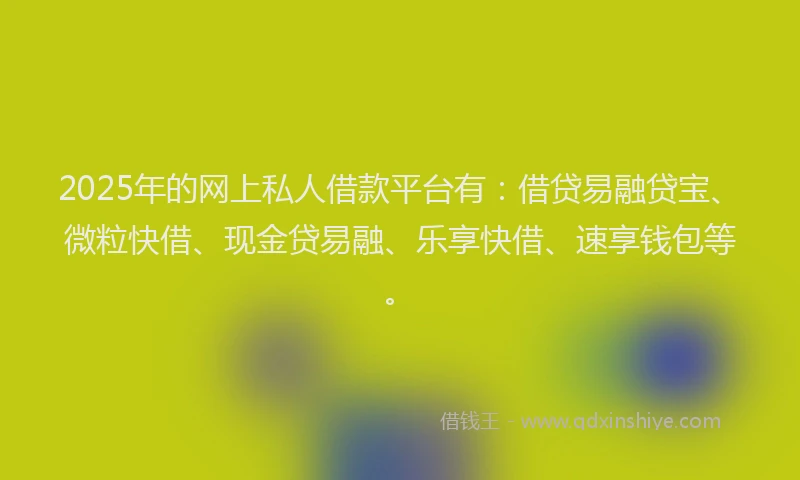 2025年的网上私人借款平台有:借贷易融贷宝、微粒快借、现金贷易融、乐享快借、速享钱包等。