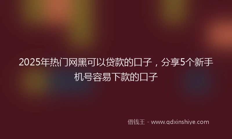 2025年热门网黑可以贷款的口子，分享5个新手机号容易下款的口子