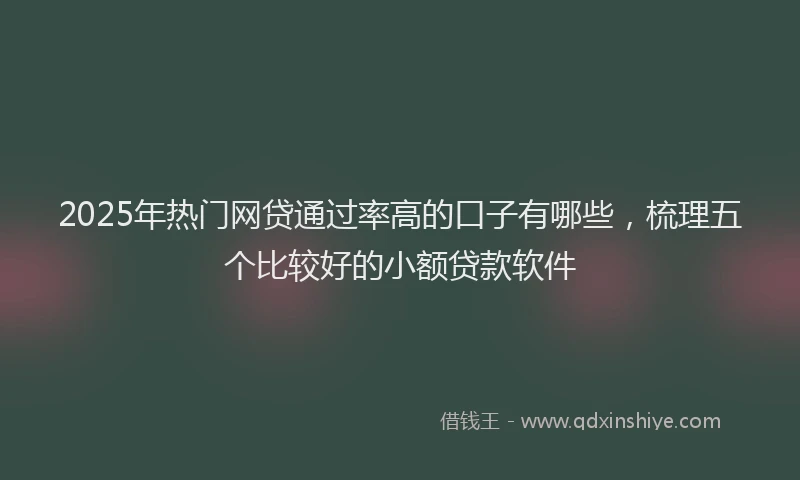 2025年热门网贷通过率高的口子有哪些，梳理五个比较好的小额贷款软件