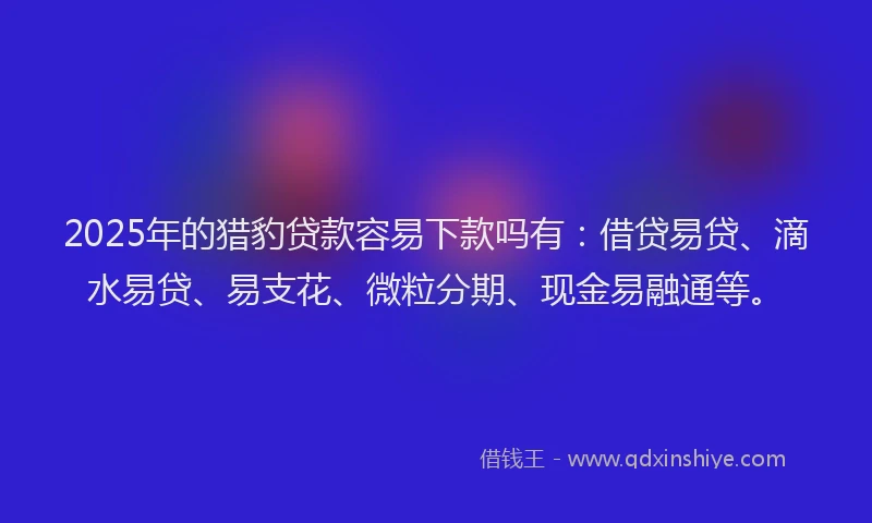 2025年的猎豹贷款容易下款吗有：借贷易贷、滴水易贷、易支花、微粒分期、现金易融通等。