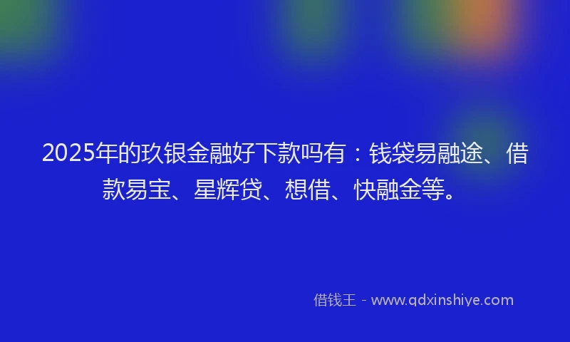 2025年的玖银金融好下款吗有:钱袋易融途、借款易宝、星辉贷、想借、快融金等。