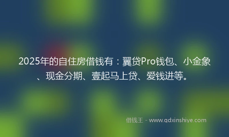 2025年的自住房借钱有：翼贷Pro钱包、小金象、现金分期、壹起马上贷、爱钱进等。