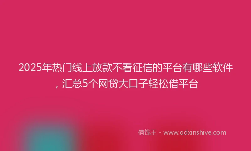 2025年热门线上放款不看征信的平台有哪些软件,汇总5个网贷大口子轻松借平台