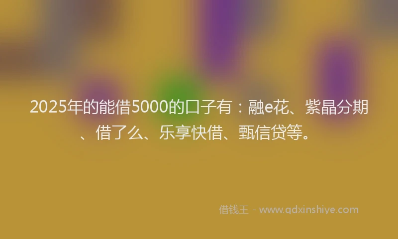 2025年的能借5000的口子有：融e花、紫晶分期、借了么、乐享快借、甄信贷等。