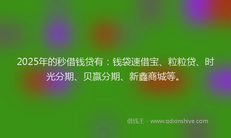 2025年的秒借钱贷有:钱袋速借宝、粒粒贷、时光分期、贝赢分期、新鑫商城等。