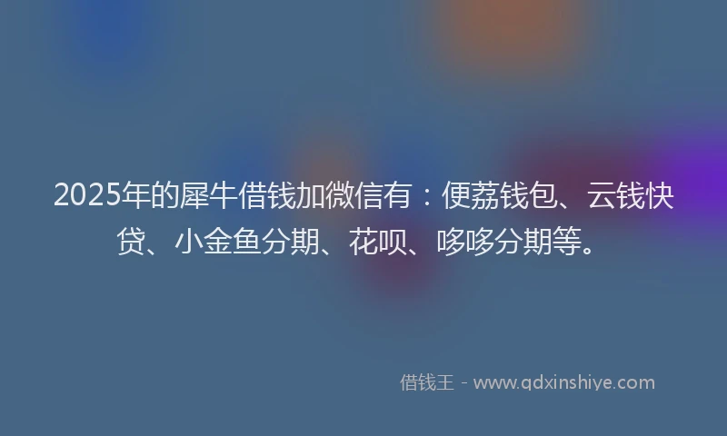 2025年的犀牛借钱加微信有：便荔钱包、云钱快贷、小金鱼分期、花呗、哆哆分期等。