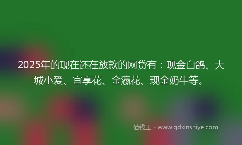 2025年的现在还在放款的网贷有：现金白鸽、大城小爱、宜享花、金瀛花、现金奶牛等。