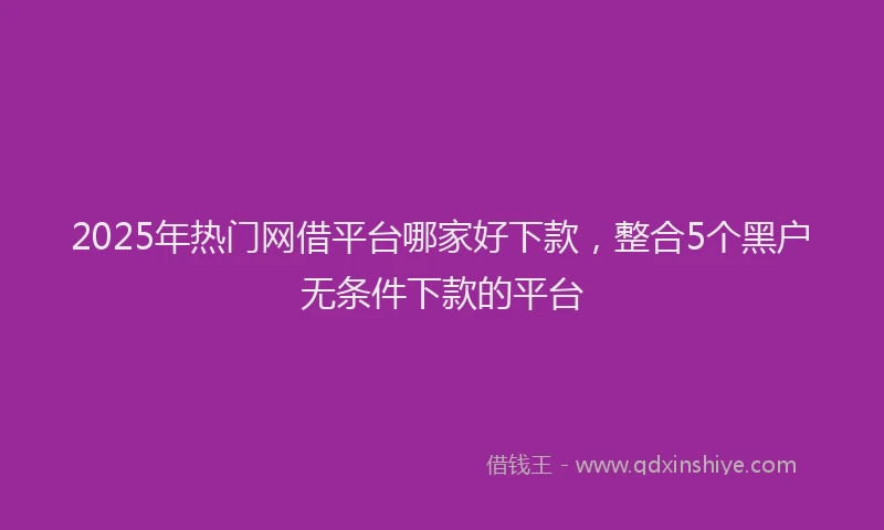 2025年热门网借平台哪家好下款,整合5个黑户无条件下款的平台