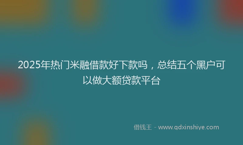 2025年热门米融借款好下款吗，总结五个黑户可以做大额贷款平台