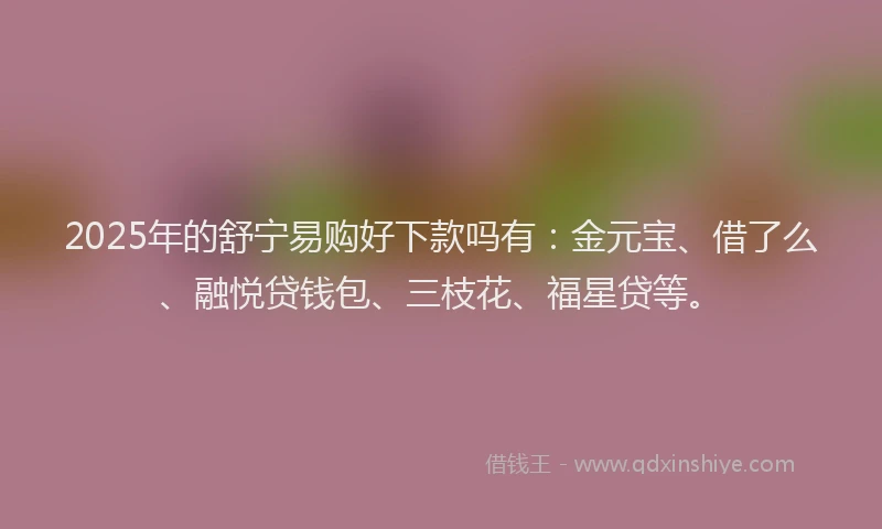 2025年的舒宁易购好下款吗有：金元宝、借了么、融悦贷钱包、三枝花、福星贷等。