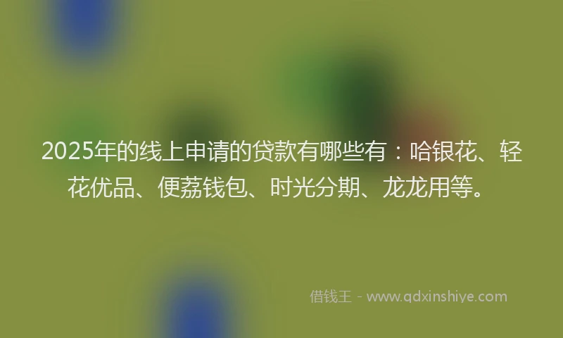 2025年的线上申请的贷款有哪些有：哈银花、轻花优品、便荔钱包、时光分期、龙龙用等。