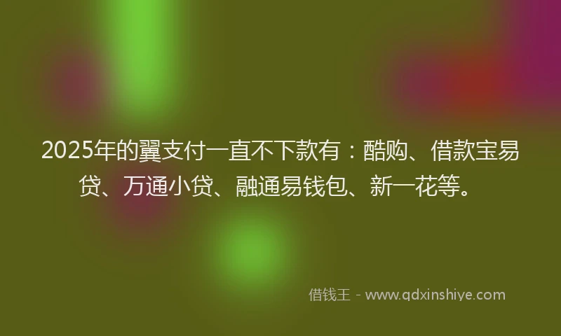 2025年的翼支付一直不下款有:酷购、借款宝易贷、万通小贷、融通易钱包、新一花等。
