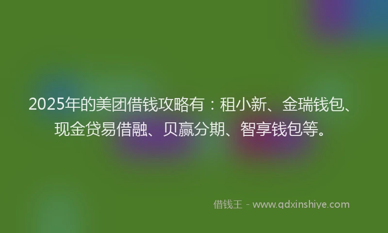 2025年的美团借钱攻略有:租小新、金瑞钱包、现金贷易借融、贝赢分期、智享钱包等。