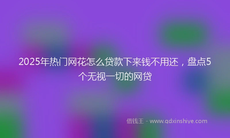 2025年热门网花怎么贷款下来钱不用还，盘点5个无视一切的网贷