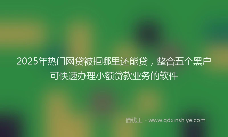2025年热门网贷被拒哪里还能贷，整合五个黑户可快速办理小额贷款业务的软件