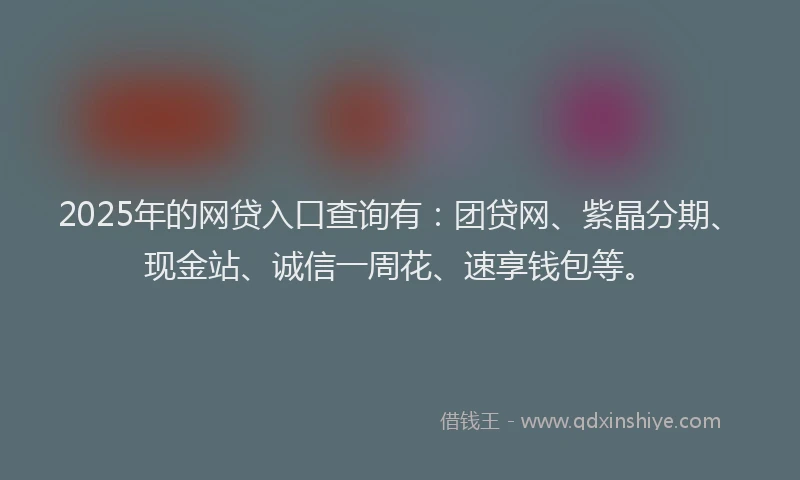 2025年的网贷入口查询有：团贷网、紫晶分期、现金站、诚信一周花、速享钱包等。