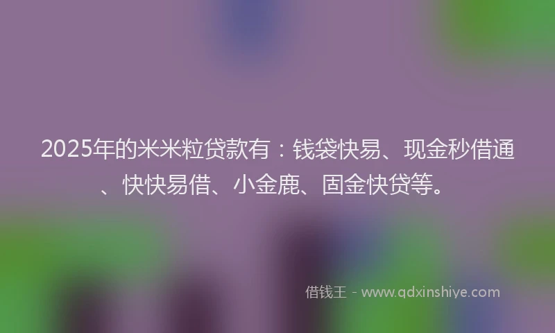 2025年的米米粒贷款有：钱袋快易、现金秒借通、快快易借、小金鹿、固金快贷等。