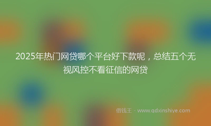 2025年热门网贷哪个平台好下款呢，总结五个无视风控不看征信的网贷