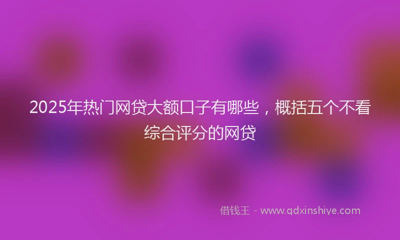 2025年热门网贷大额口子有哪些，概括五个不看综合评分的网贷