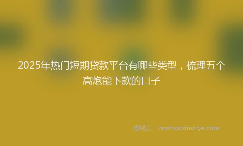 2025年热门短期贷款平台有哪些类型，梳理五个高炮能下款的口子