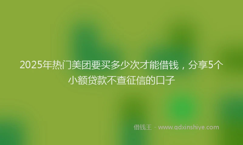 2025年热门美团要买多少次才能借钱，分享5个小额贷款不查征信的口子