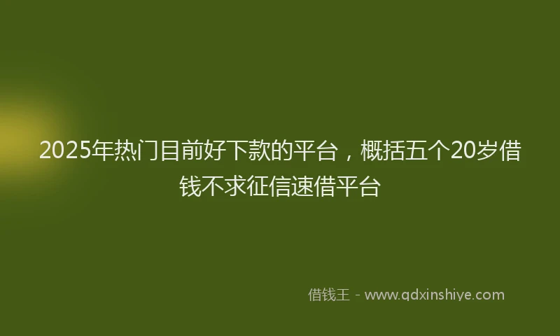 2025年热门目前好下款的平台，概括五个20岁借钱不求征信速借平台