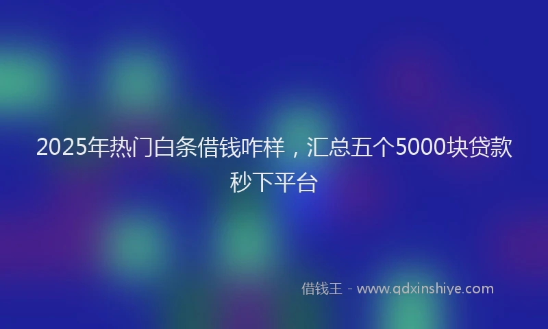2025年热门白条借钱咋样，汇总五个5000块贷款秒下平台