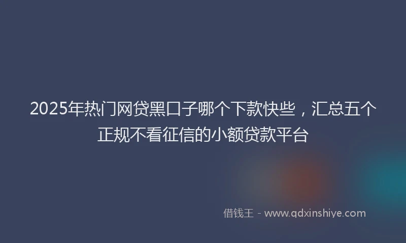 2025年热门网贷黑口子哪个下款快些，汇总五个正规不看征信的小额贷款平台