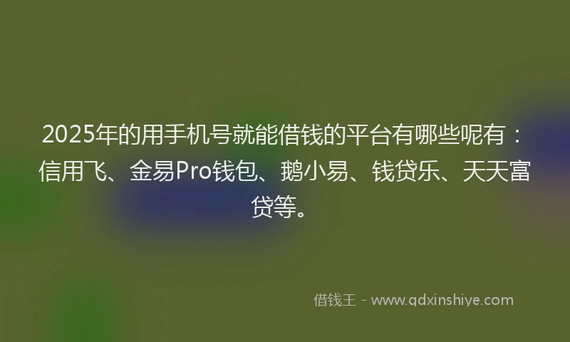 2025年的用手机号就能借钱的平台有哪些呢有：信用飞、金易Pro钱包、鹅小易、钱贷乐、天天富贷等。