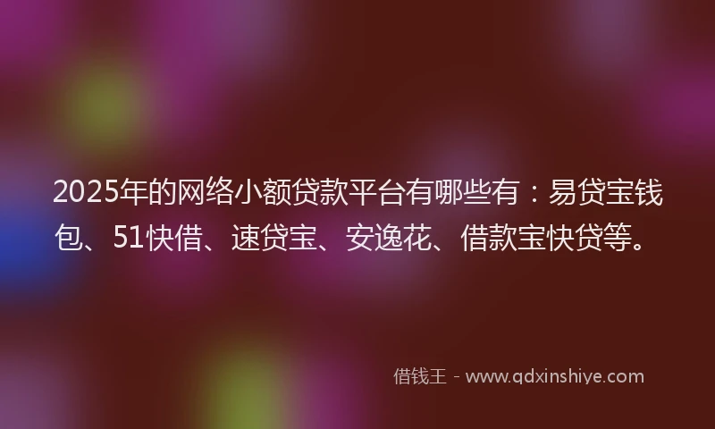 2025年的网络小额贷款平台有哪些有：易贷宝钱包、51快借、速贷宝、安逸花、借款宝快贷等。