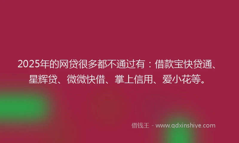 2025年的网贷很多都不通过有:借款宝快贷通、星辉贷、微微快借、掌上信用、爱小花等。