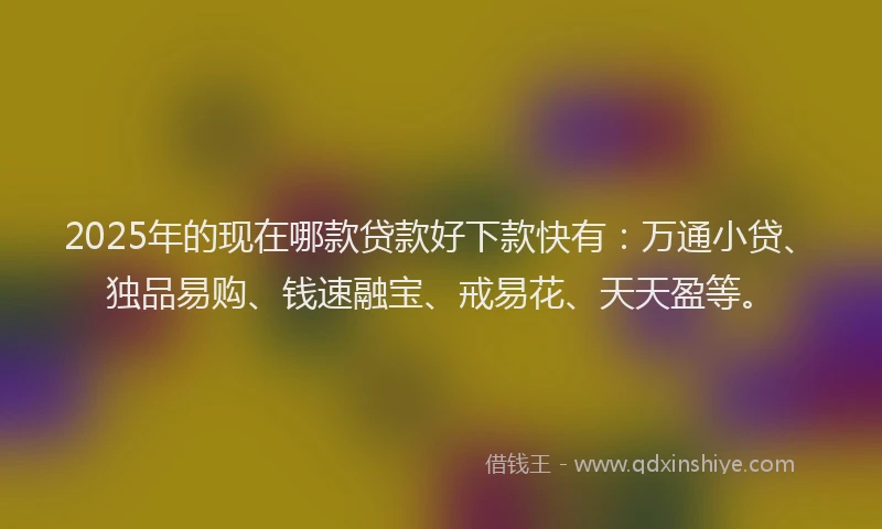 2025年的现在哪款贷款好下款快有：万通小贷、独品易购、钱速融宝、戒易花、天天盈等。