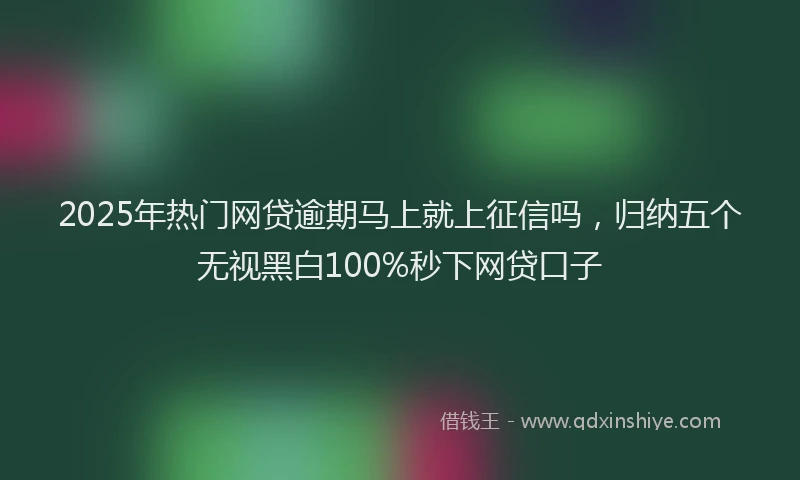 2025年热门网贷逾期马上就上征信吗,归纳五个无视黑白100%秒下网贷口子