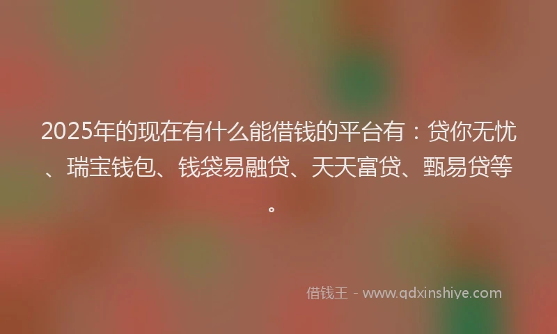 2025年的现在有什么能借钱的平台有：贷你无忧、瑞宝钱包、钱袋易融贷、天天富贷、甄易贷等。