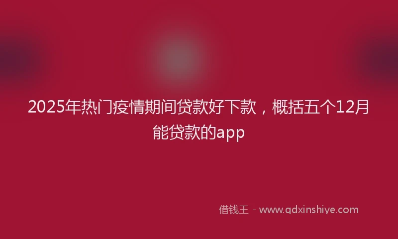 2025年热门疫情期间贷款好下款，概括五个12月能贷款的app