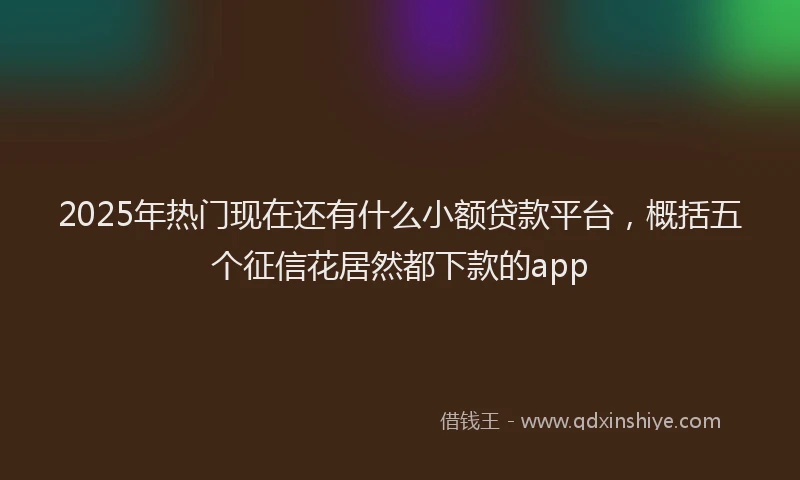 2025年热门现在还有什么小额贷款平台，概括五个征信花居然都下款的app