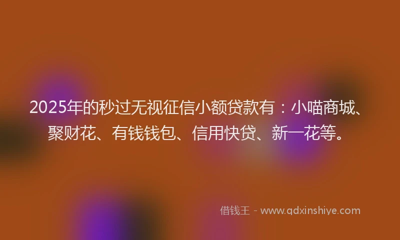 2025年的秒过无视征信小额贷款有：小喵商城、聚财花、有钱钱包、信用快贷、新一花等。