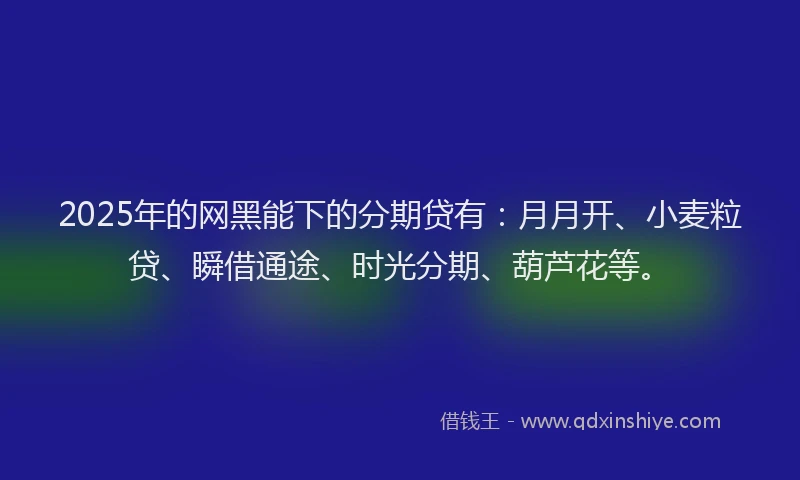2025年的网黑能下的分期贷有：月月开、小麦粒贷、瞬借通途、时光分期、葫芦花等。
