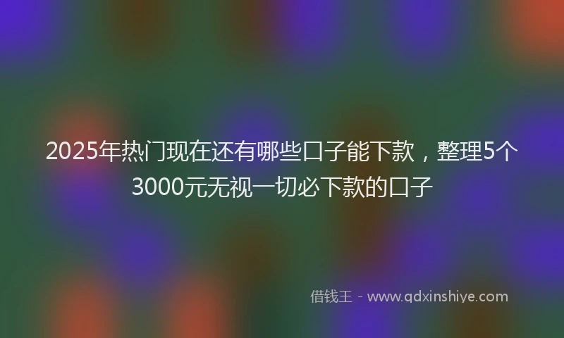 2025年热门现在还有哪些口子能下款，整理5个3000元无视一切必下款的口子