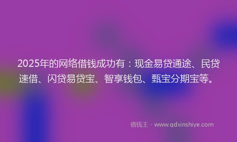 2025年的网络借钱成功有：现金易贷通途、民贷速借、闪贷易贷宝、智享钱包、甄宝分期宝等。