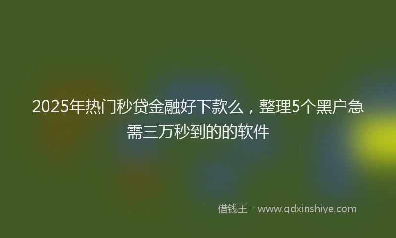2025年热门秒贷金融好下款么,整理5个黑户急需三万秒到的的软件
