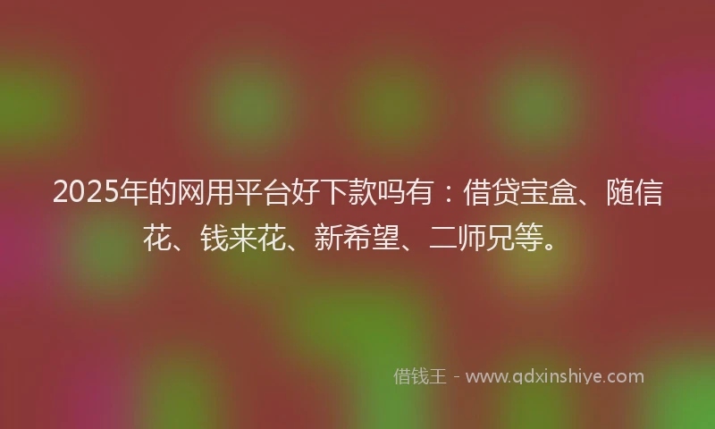 2025年的网用平台好下款吗有:借贷宝盒、随信花、钱来花、新希望、二师兄等。