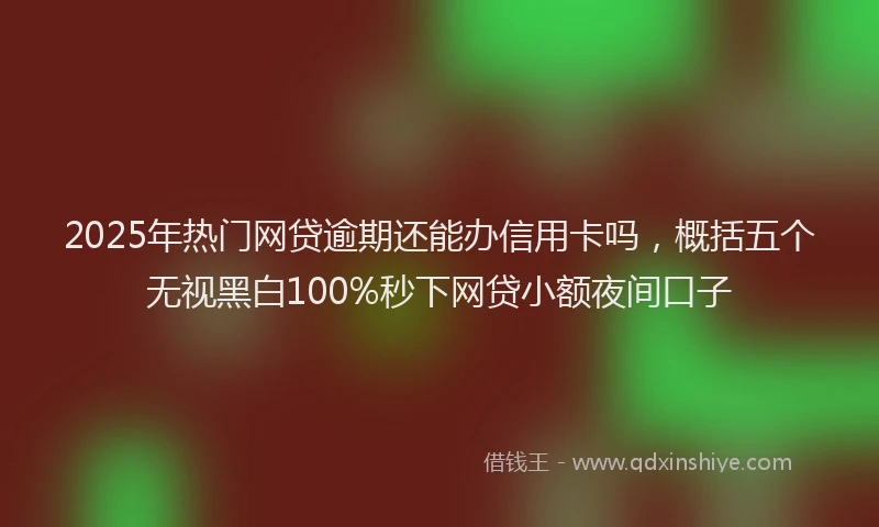 2025年热门网贷逾期还能办信用卡吗，概括五个无视黑白100%秒下网贷小额夜间口子