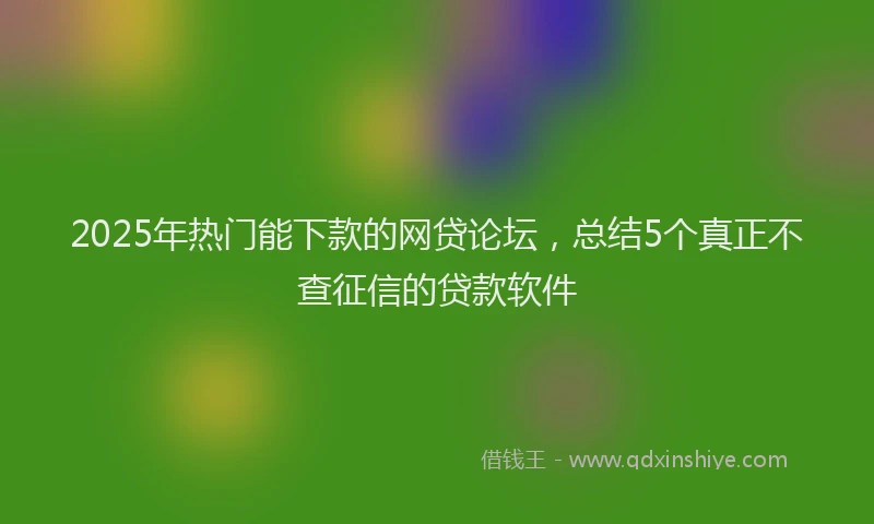 2025年热门能下款的网贷论坛，总结5个真正不查征信的贷款软件