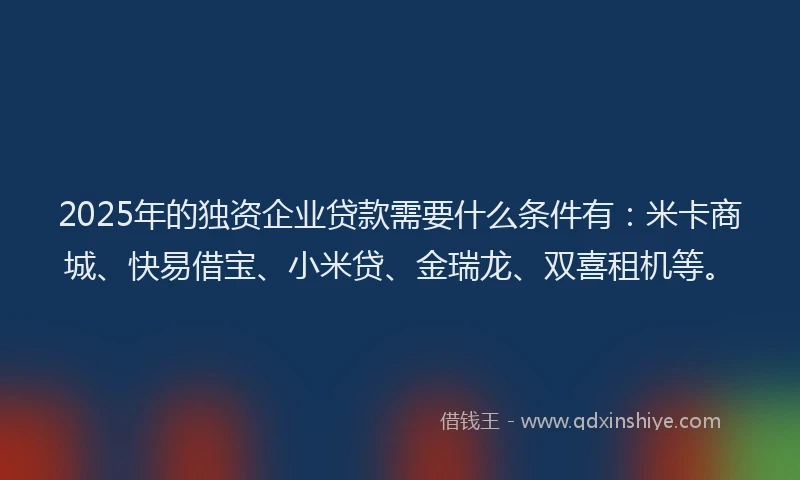 2025年的独资企业贷款需要什么条件有：米卡商城、快易借宝、小米贷、金瑞龙、双喜租机等。