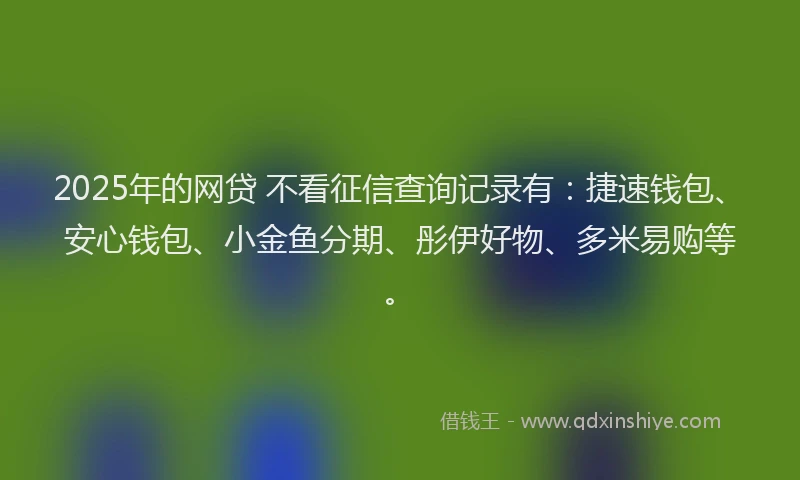 2025年的网贷 不看征信查询记录有：捷速钱包、安心钱包、小金鱼分期、彤伊好物、多米易购等。