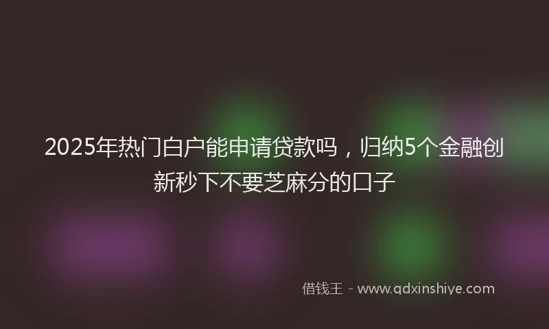 2025年热门白户能申请贷款吗，归纳5个金融创新秒下不要芝麻分的口子