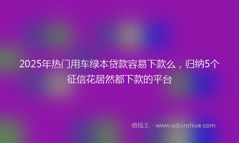 2025年热门用车绿本贷款容易下款么，归纳5个征信花居然都下款的平台