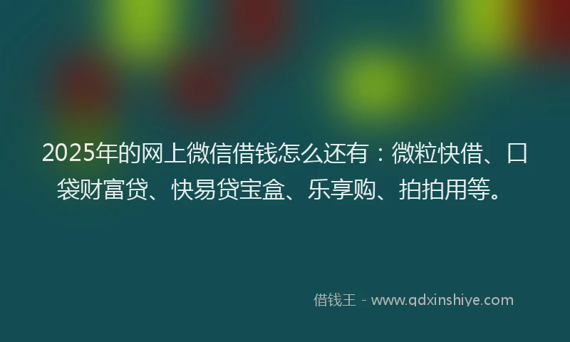 2025年的网上微信借钱怎么还有：微粒快借、口袋财富贷、快易贷宝盒、乐享购、拍拍用等。