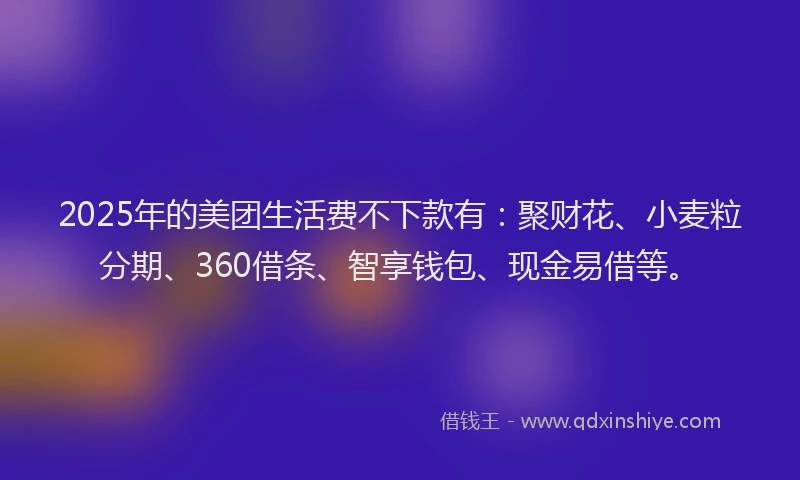 2025年的美团生活费不下款有:聚财花、小麦粒分期、360借条、智享钱包、现金易借等。